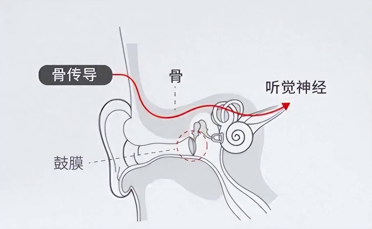 择指标很重要不伤耳不累耳放心磨耳朵k8凯发网站别给孩子用错耳机3个选(图3)